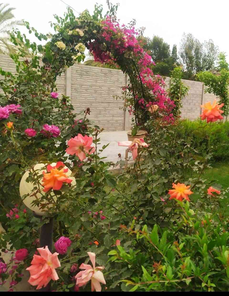 بابل • منزلين • ١٠٠٠م