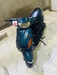 دولفين • ياباني • سلف