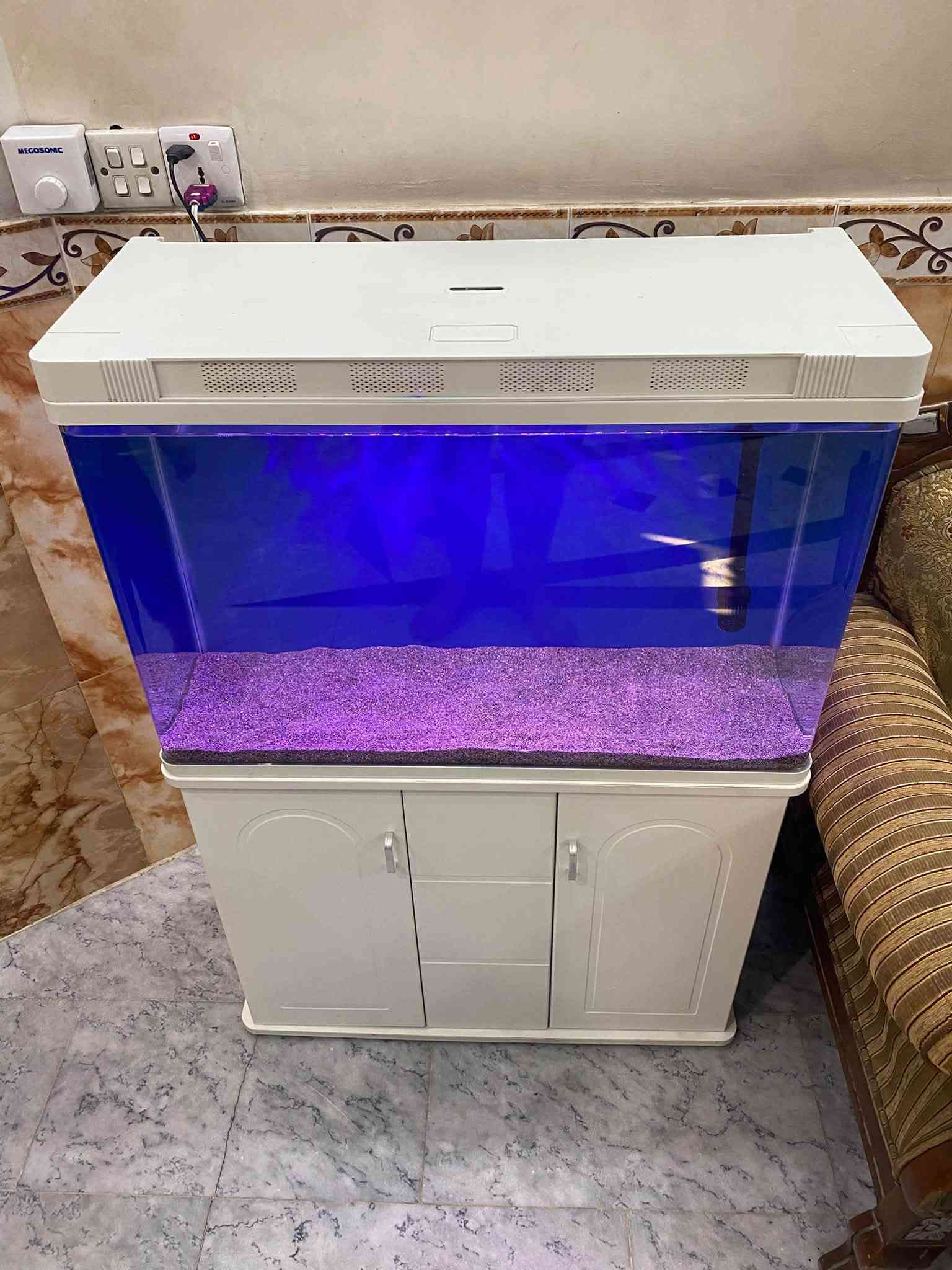 جاهز اخو جديد نظافة 100‎%‎ قياس 80 سم للبيع بسعر مناسب مع جهاز اوكسجين وهيتر ومضخه ورمل وديباج مكان بغداد تفاصيل اكثر ***********
