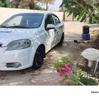 افيو • ٢٠١١ • سوق الشيوخ