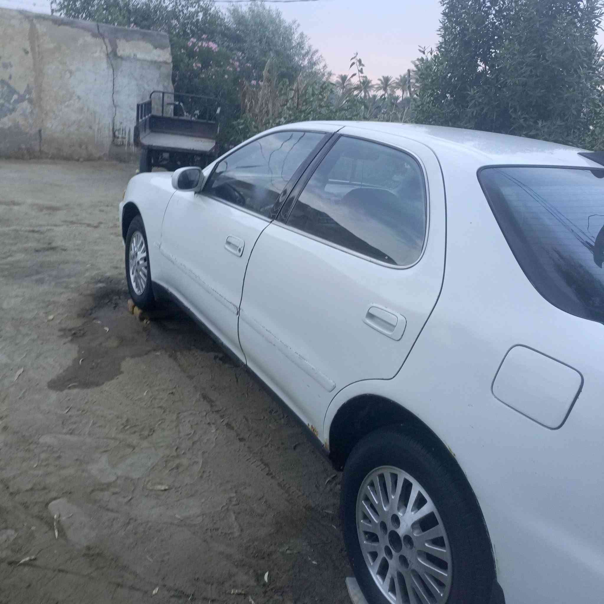 مارك • مكفوله • جاهزه