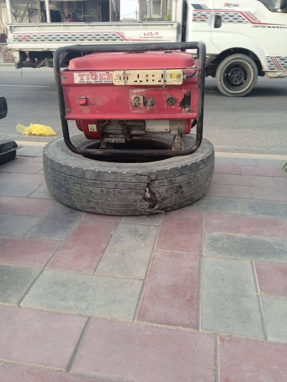 مولدة • حمراء • للبيع