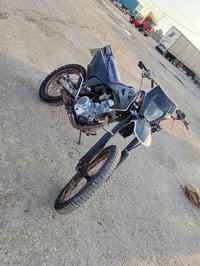 قفاز • ستوته • ٢٠٢٤