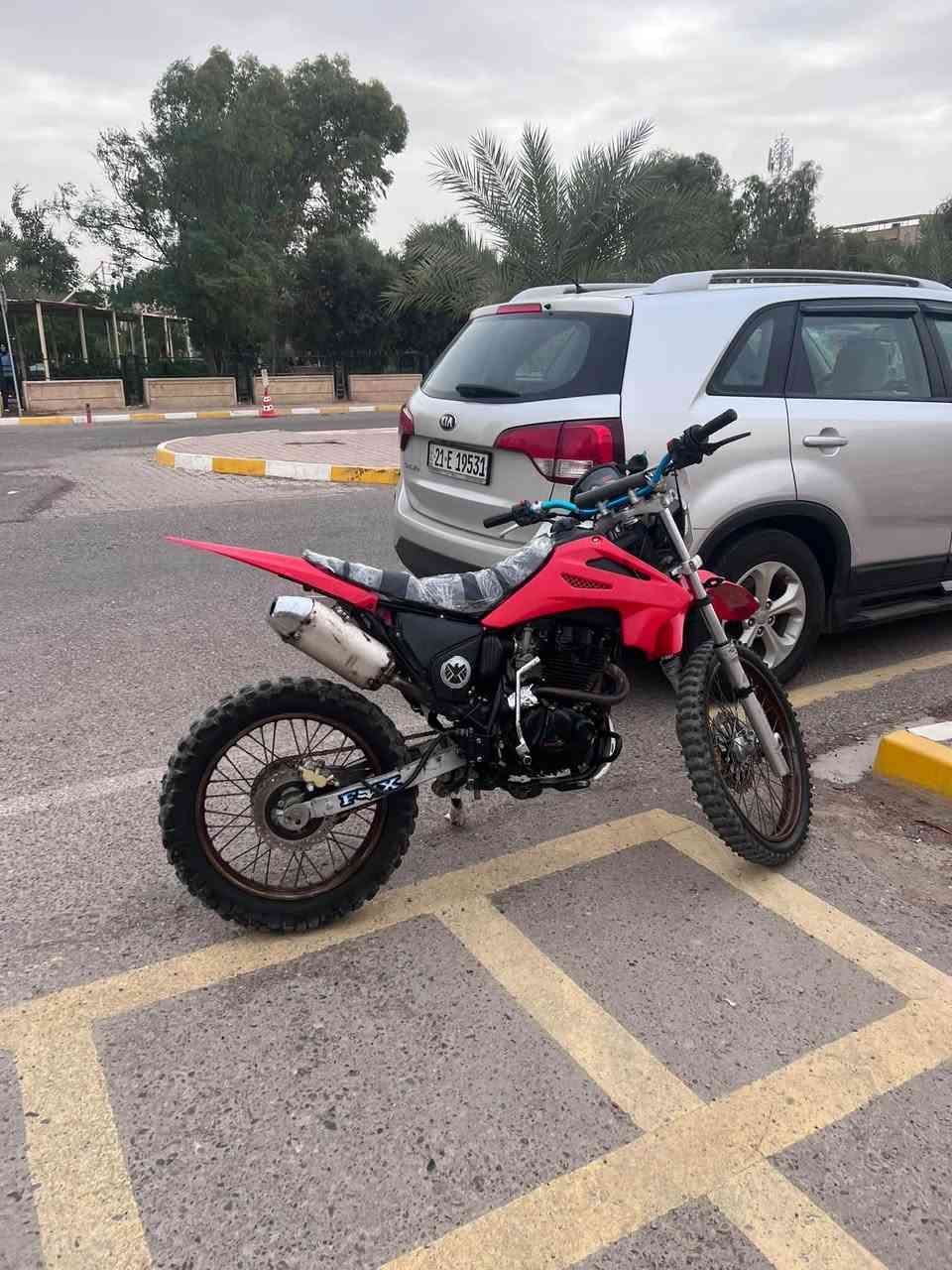 قفاز • كاويار • تبدل ضفيره