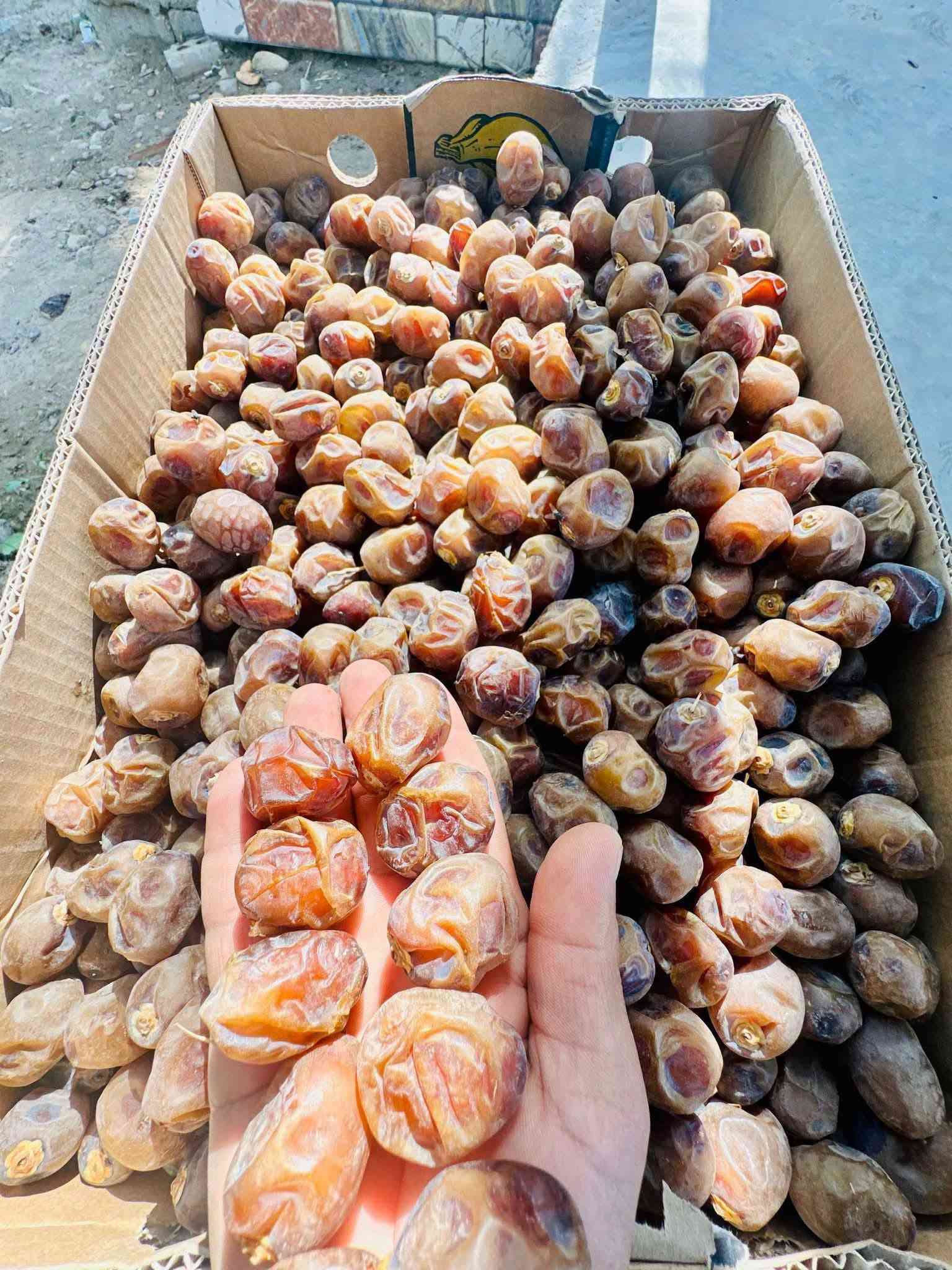 واتساب فقط • توصيل الطارمية • تمر برحي