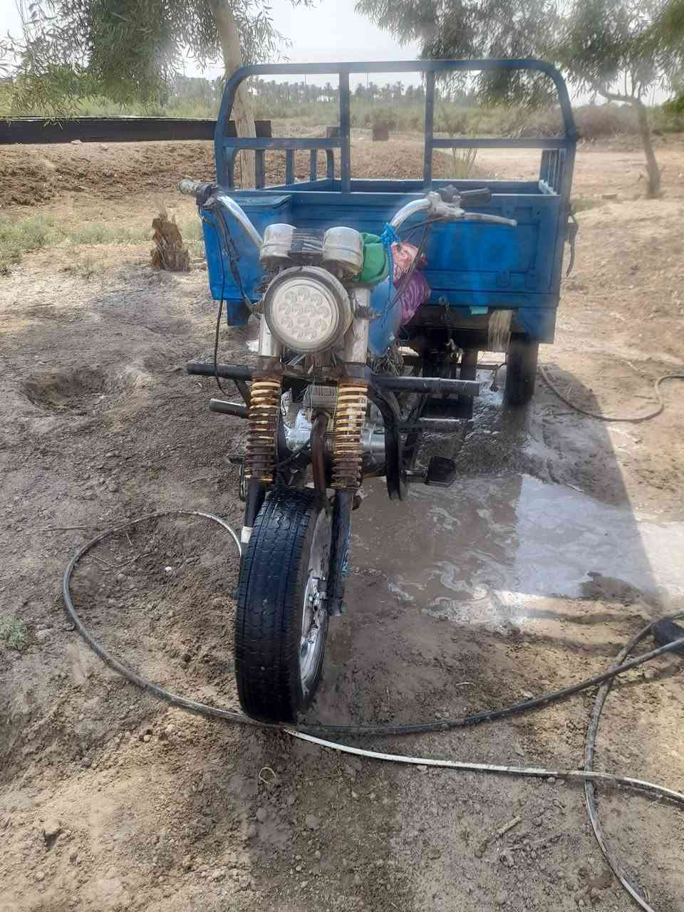 ستوته البيع
