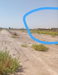 ٢٥ دونم • طابو زراعي • اليوسفية