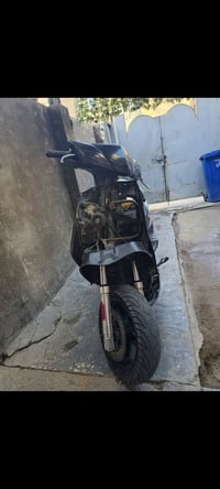 سكنس فحل للبيع بوشه 59ونص طيران كفراتها كامله ومختم اصليات يرادلها راج...