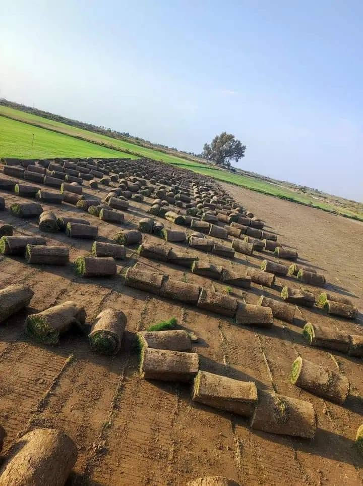 باسعار ثيل ديالى الطبيعي 🏡
أهلاً بكم في مجموعه مزارع ديالى لثيل الهندي الطبيعي 🌿🌱
 نقدم لكم افضل انوع الثيل الطبيعي عالي الجوده يتحمل كافه الضروف البيئية.🌦️🌞
دائم الخضرة🌿🌳 وباسعار تنافسيه وعروض مميزة ☘️❤️
#مستعدون لتجهيز وفرش الحدائق🏡 ودوائر الدولة🏡والمنازل🏡🏡
و تجهيز الملاعب🏟️ والمنتزهات بانسب الاسعار مع ضمان الجودة العالية في العمل👷👷

مع خدمة التوصيل خلال24ساعه🚛🚛
الاسعار 💵💸 تختلف حسب الكمية 
للاستفسار الاتصال على : 
او التواصل مع الصفحه عن طريق ارسال رسالة على الوتساب او الإتصال ***********
