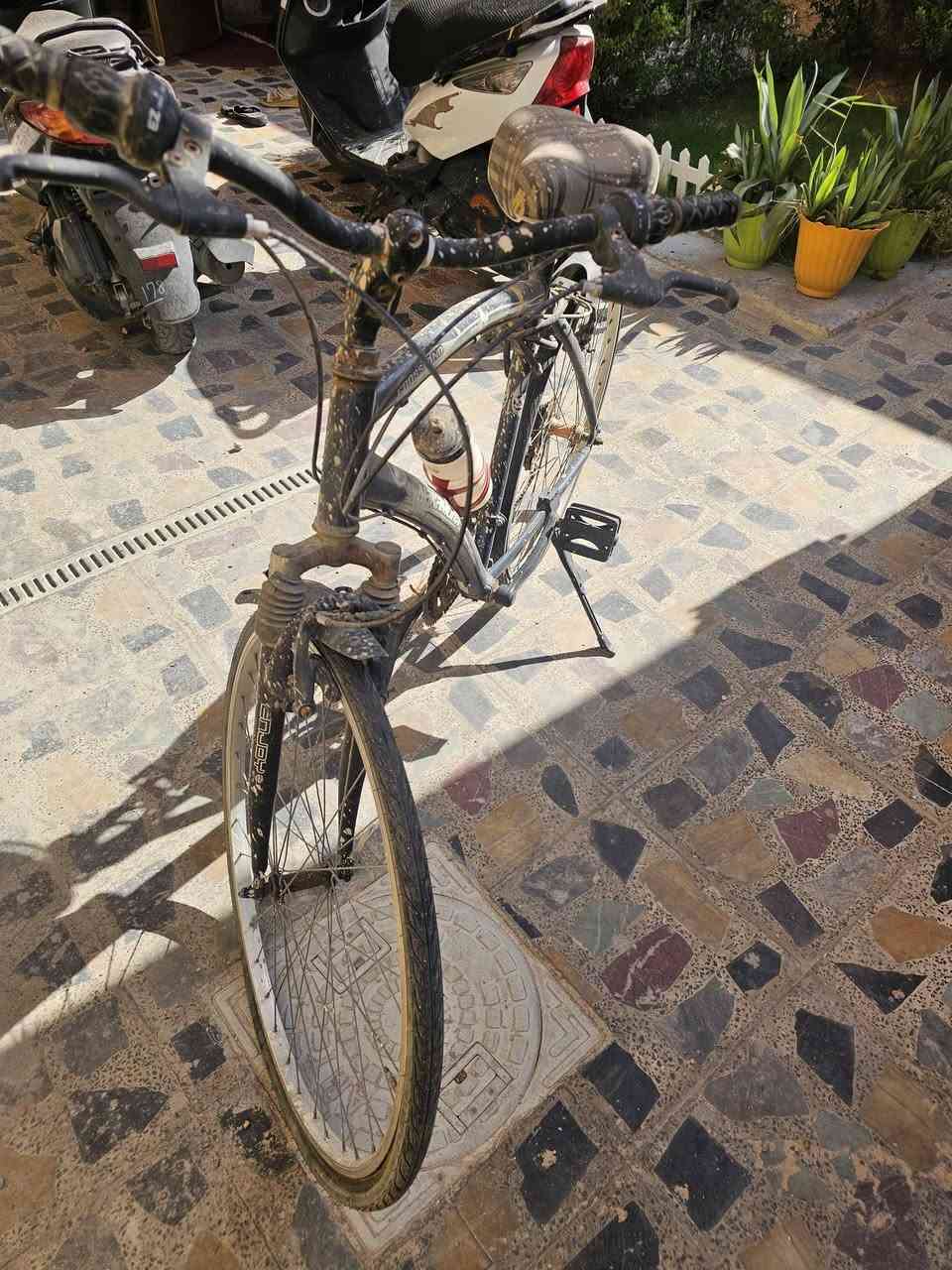بايسكل سبورت حجم ٢٨ للبيع
العنوان الكاظمية 
الرقم واتس ***********
