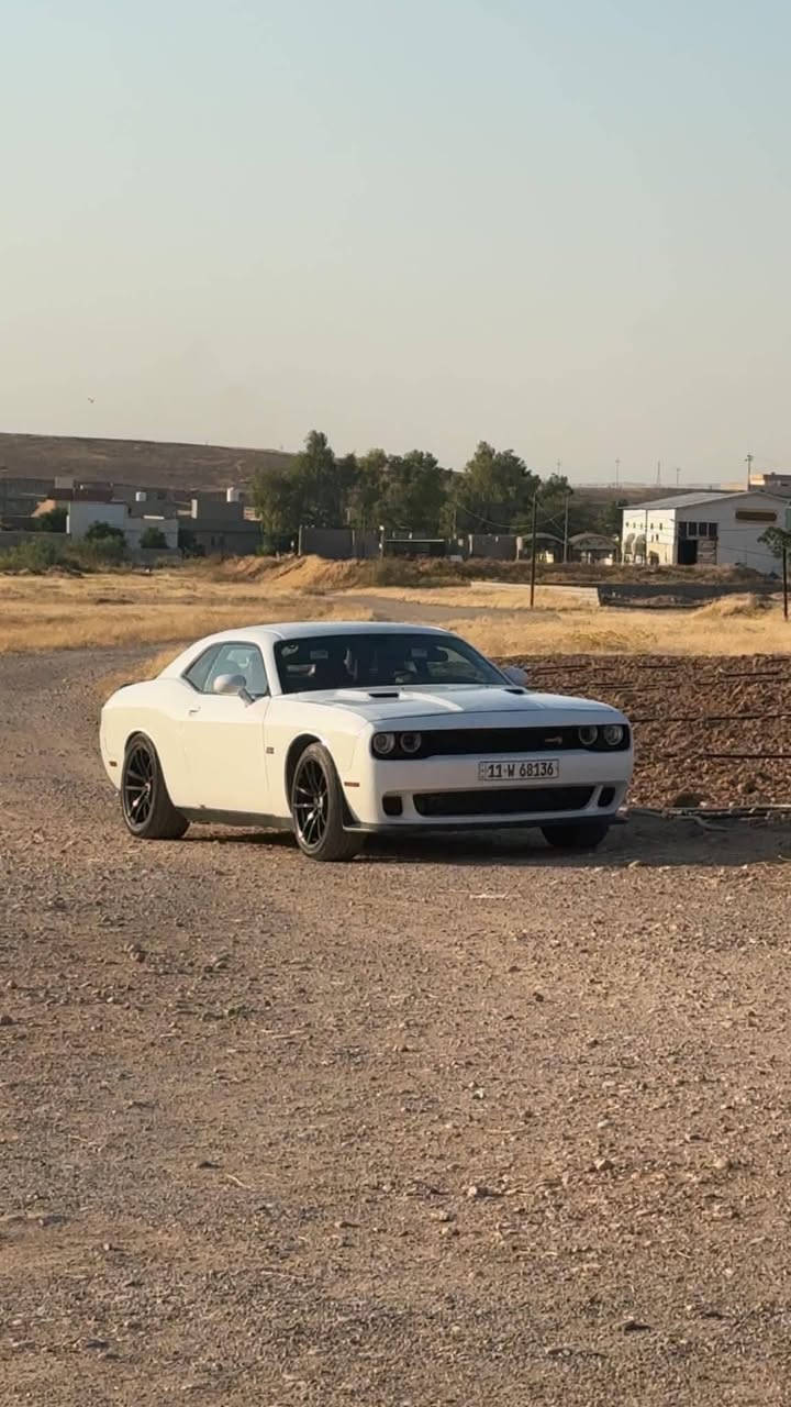 وحش الشارع دوج جالنجر موديل  ١١ مكينه  3600/ 6 سلندر للبيع اومراوس بفورد بيكب F150

نص مكتوب في الصور:
- دوج جالشجر للبيع موديل ١١ بيه قطع صبغ مثل موضح بلسونر بدون دواخل بس البليت شوف العين محرك كير تبريد قطتين مكفول ويل تو سايز دواخله نظيفه تايرات نظيفه صدر زين هزه جديده يوم ٢٣/ ٦ سويته سنويه جديده الحد ٢٠٣١ يعني التحويل ميكلف شي بسيط مكاني ديالى خانقين أو اتواجد ابغداد السعر ١١٠ و بيه مجال الاتصال ***********