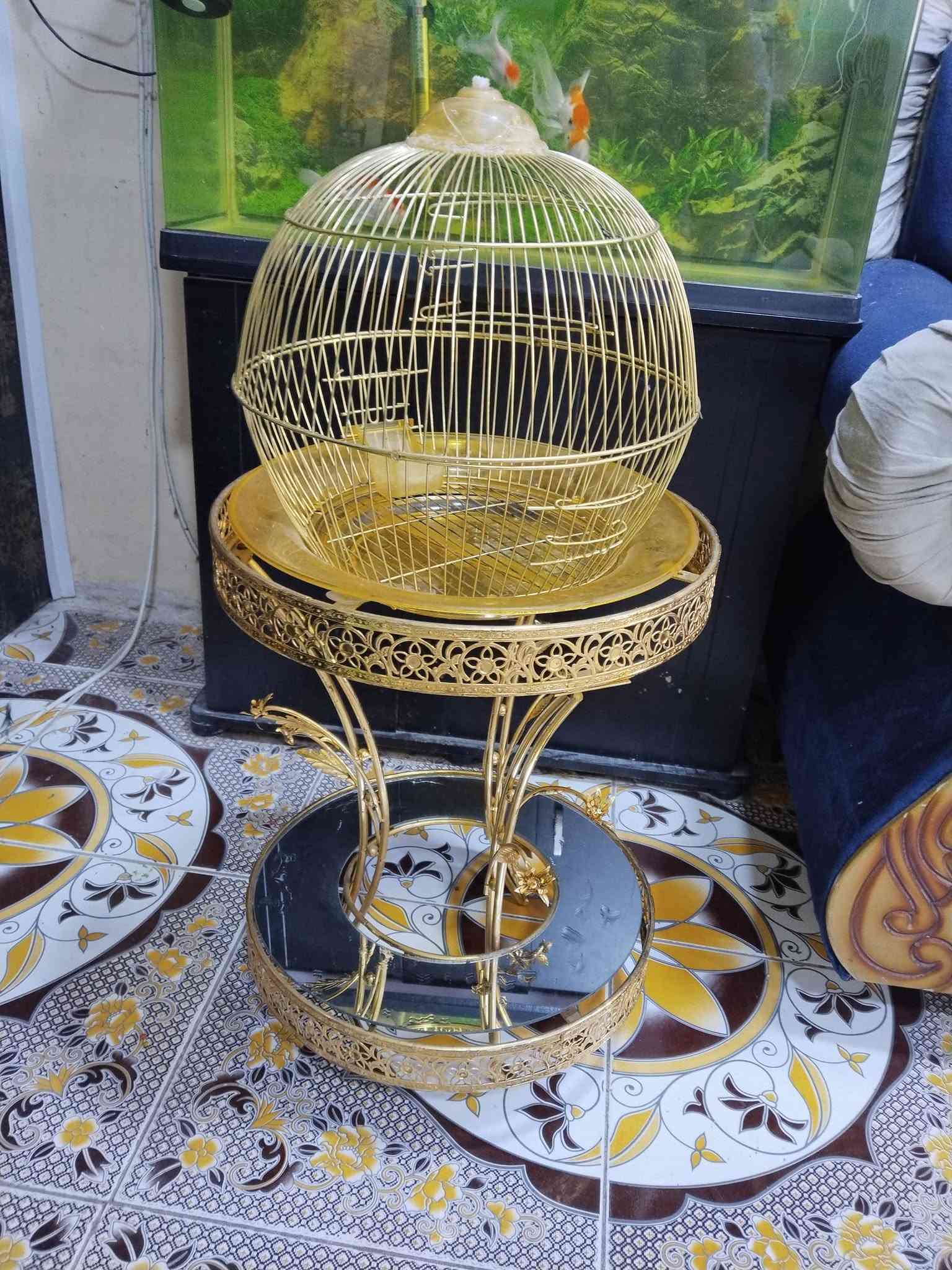 السلام عليكم
قفص ملكي للبيع سعر 25 الف 
ومرجوحه عش العصفور للبيع سعر 75 الف
بغداد الحسينيه الراشديه 
***********

