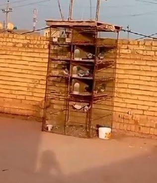 نظيف • مناسب • بصويره حي العسكري