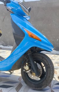 فراشة • فحل • كلجات جدد