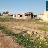 موصل حي الزيتون • قطع ١٠٠/١٥٠م • سند زراعي قرار ٢٥