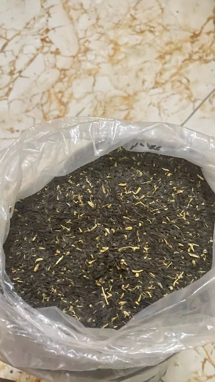بذور خس نوعية النور درجة أولى مضمون ***********
