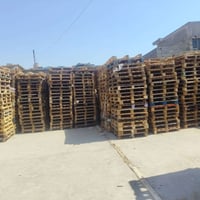 وعود كاذبة • سكيب متر • ١٢٠