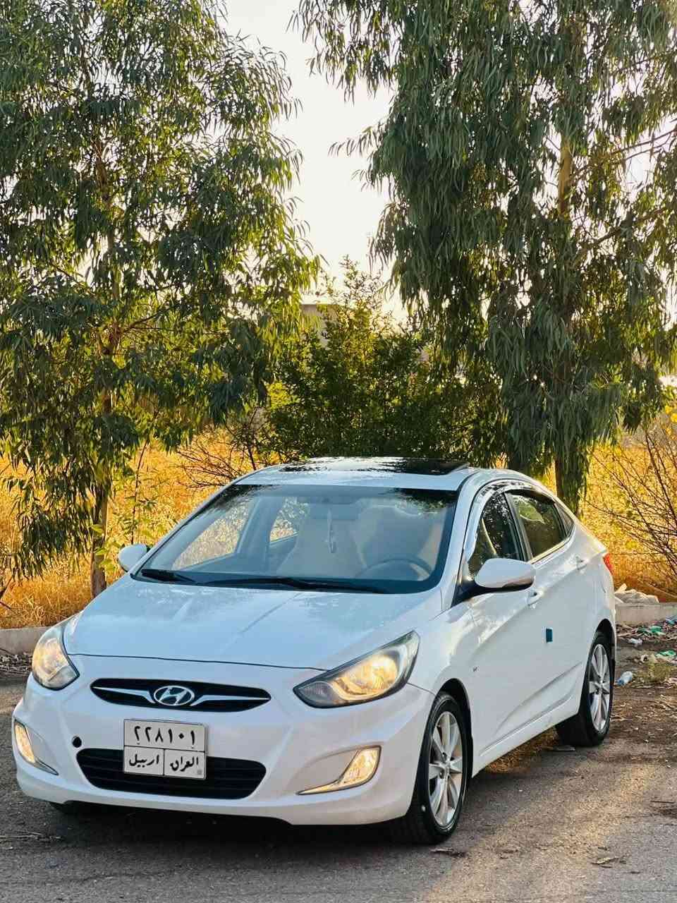 فول • ٢٠١٢ • أربيل