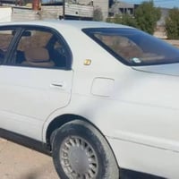 مصبوغة • بدون ظربة • بعقوبة