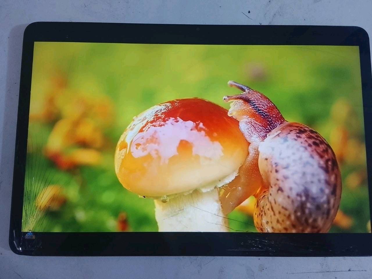 Redmi pad pro|القوي من تشاومي،  ريدمي باد مستعمل بحاله ممتازه فقط كسر بالشاشه موضح بالصوره، بذاكره 256 مع رام 8gb ملحقاته ﴿كارتونه، شاحنه بقوه 100 واط، فريز هديه ل لاعبين الجيمنج، گفر﴾، معالج snapdragon 7s gen 2 معالج جيد جدا بالنسبه للاداء اليومي والالعاب، حجم الشاشه 12,1inch وبمعدل تحديث 144hz، صوت قوي يحتوي على اربع سماعات (ايباد قوي للدراسه والالعاب ولمشاهده الافلام يعني بختصار جوكر) سعر 230 وبي مجال سبب البيع مااريد اطببه تصليح الباد ماشام مركز الصيانه ع حالته ابيعه