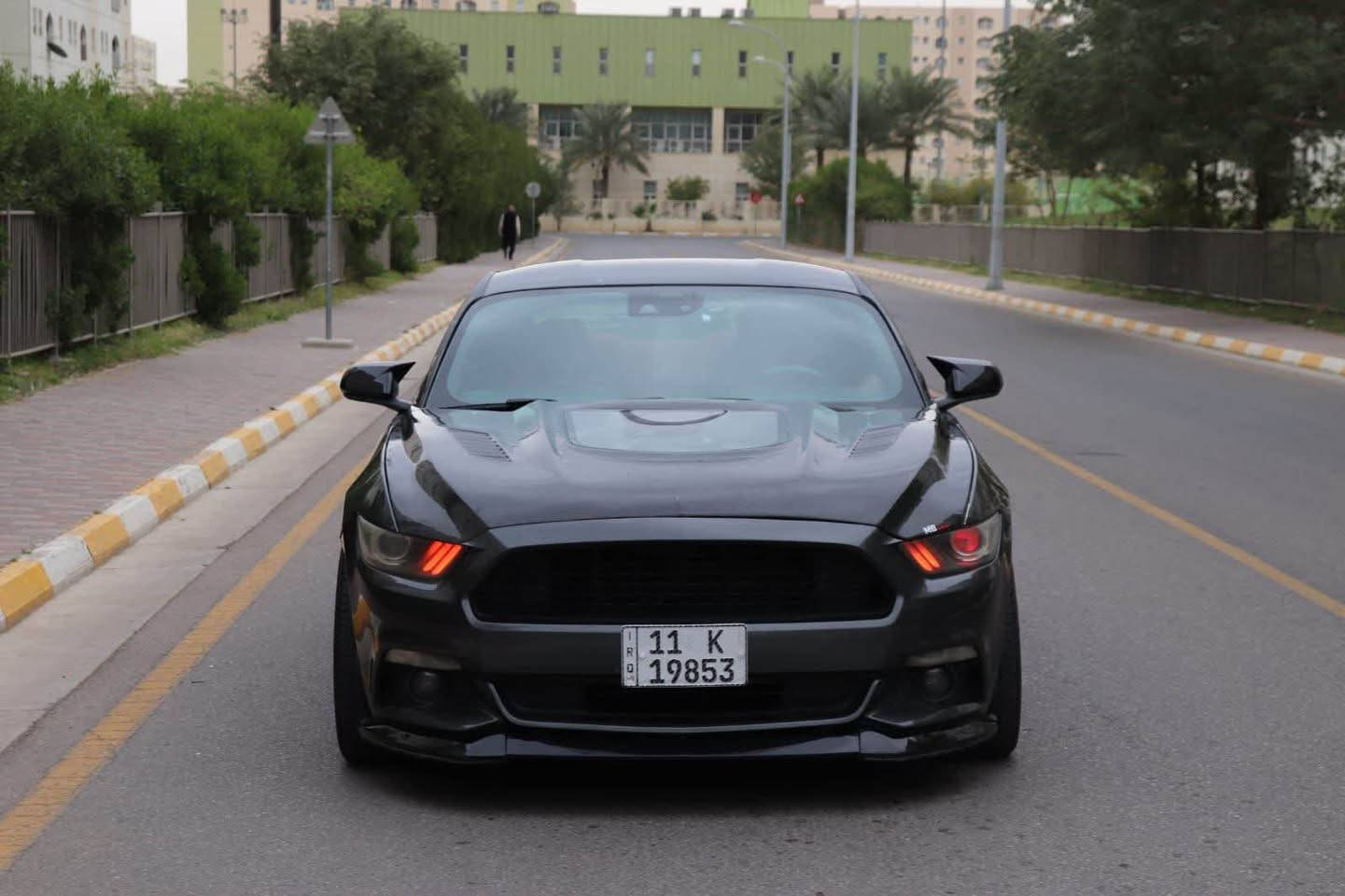 موستنك GT • ٢٠١٧ • حادث منشور