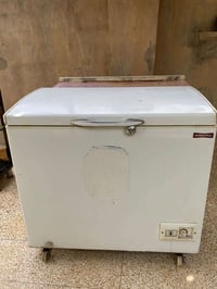 مجمدة • فول تجميد • قابل تفاوض
