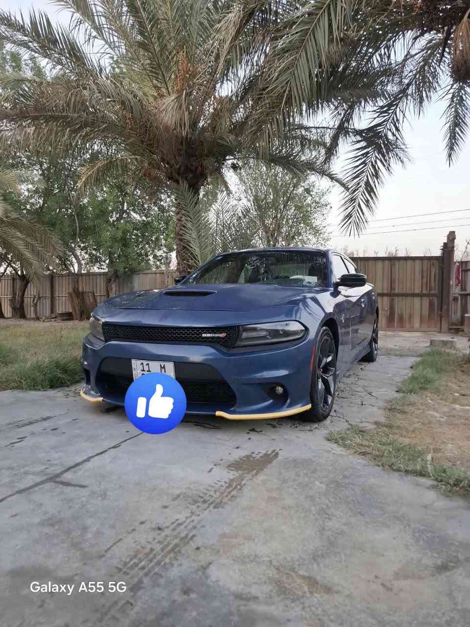 السلام عليكم جارجر 2021 كير مكينه حداديه تخم تاير تبريد سياره جيتي بلاص شفتات ستيرن كشنات حضن ماشيه 63 سياره فول عده الفتحه حادثه بامريكا جاملغات وبنيد وبل عراق بيبان شدوف سياره شتخدام شخصي خير من الله السعر 220 وبيه مجال العنوان بغداد رقم سنويه جديد تحويل ثاني يوم ***********
