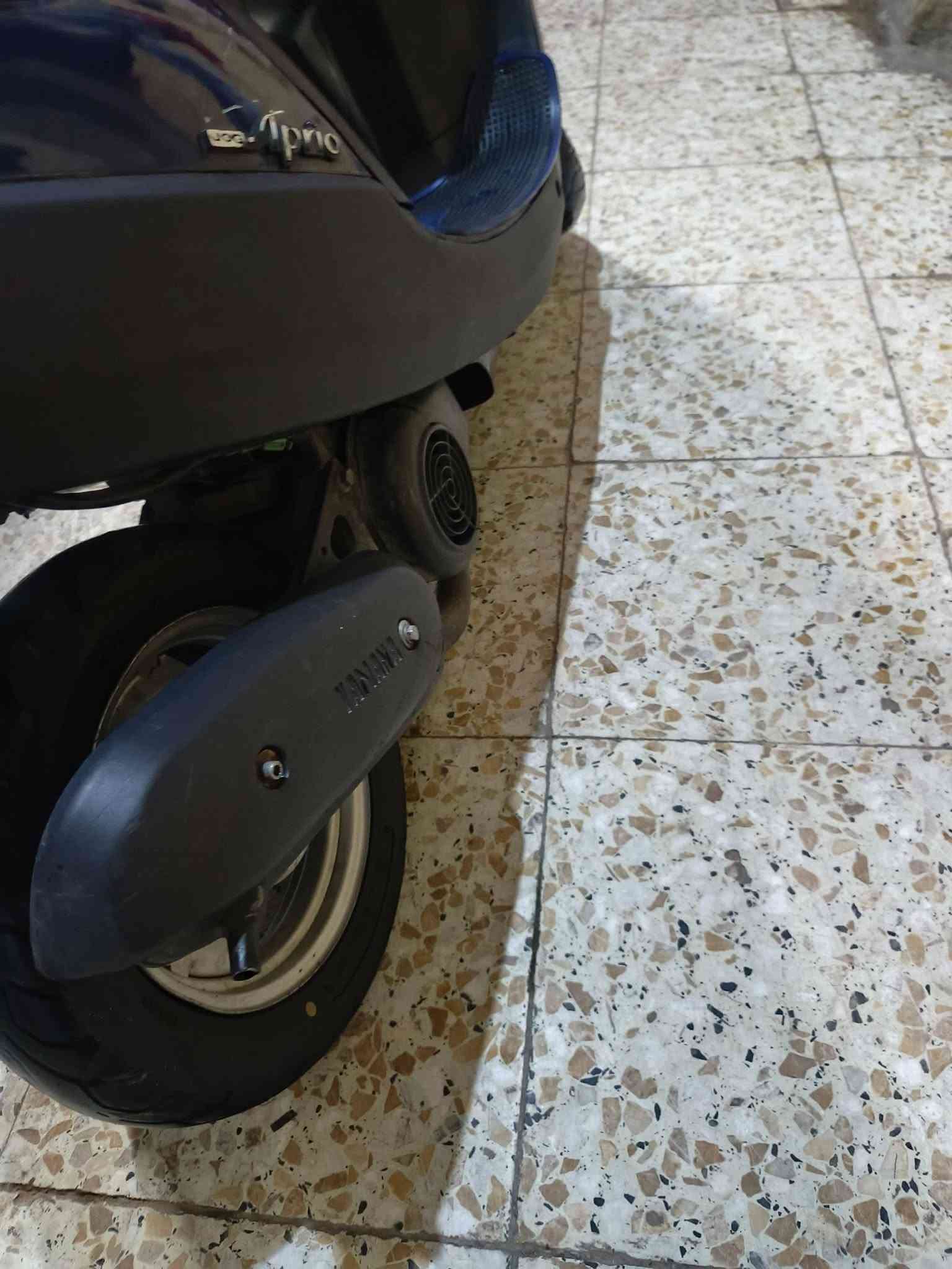 بطة • نضيفه • زنون