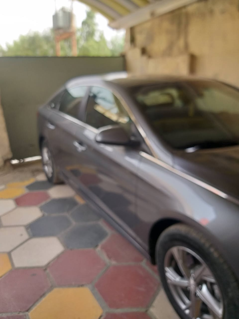 سوناته • ٢٠١٩ • رقم بابل