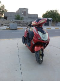 سكنس لد • صيني • سلف