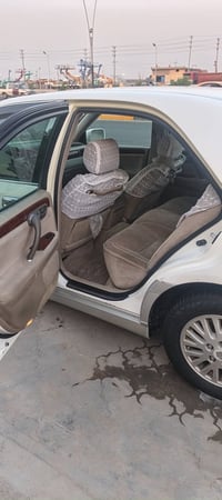 جنون • مكفولة • البصرة