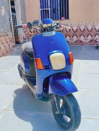 ماكس منغولي • ناصريه غراف • واتساب
