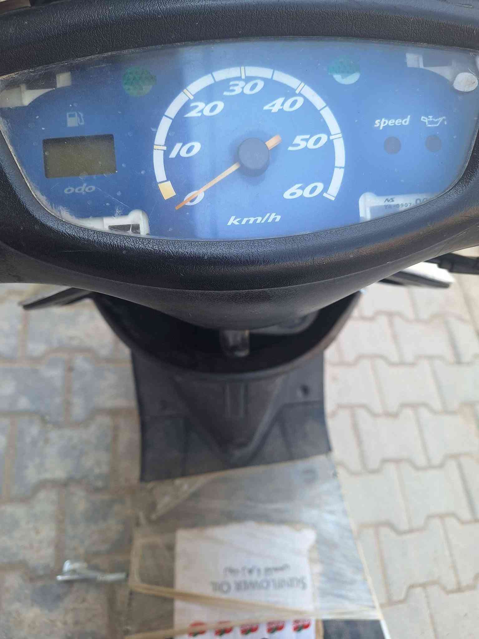 عصفورية • ابيض • مكفولة