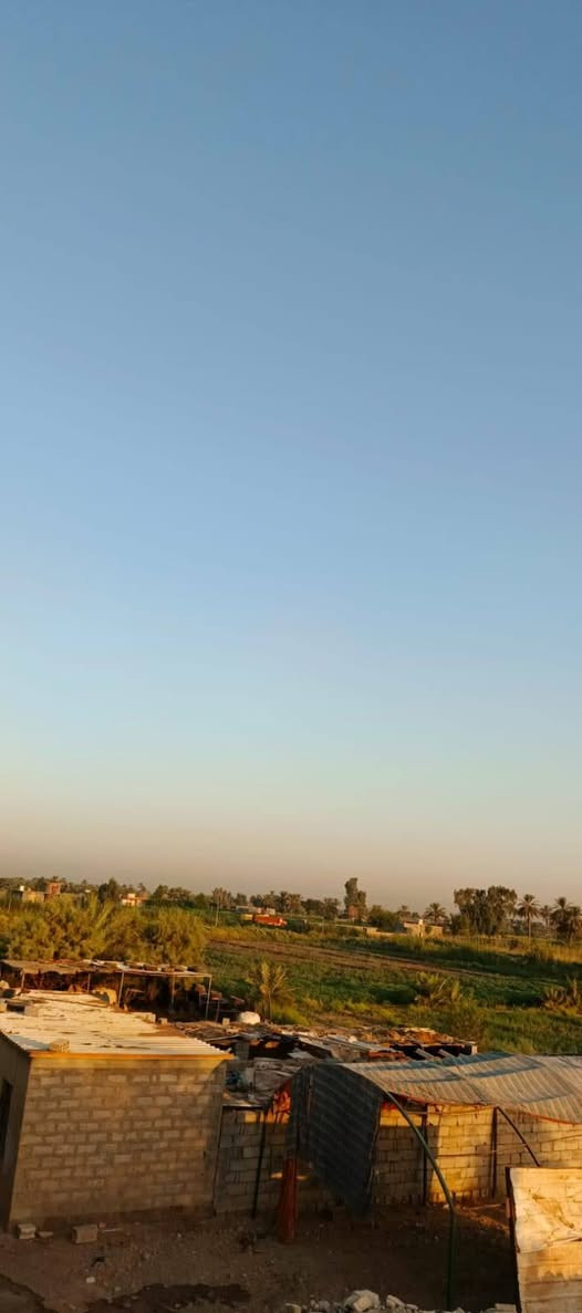 فرصة استثمارية زراعية وحيوانية لا تُفوّت للبيع! 🌾🐄
أرض زراعية متكاملة ومجهزة بالكامل بجميع الخدمات، موقع مميز وجاهزية تامة للمباشرة بالعمل فوراً:

​الموقع: اللطيفية - كيلو 18 (تبعد 800 متر فقط عن طريق بغداد - كربلاء العام).

​المساحة: 10 دونم.

​السنَد والملكية: سند 17 (طابو صرف).

​التجهيزات والمرافق: 

​بيت سكون جاهز.

​حقول مجهزة بالكامل لتربية الأبقار والعجول (مشروع جاهز ومكتمل).

​الخدمات والري: 

​أرض مخدومة بالكامل (كهرباء، طريق مبلط، ماء إسالة).

​نظام سقي متكامل (سقي إروائي على نهر اللطيفية).

​الأرض محاطة بمبازل (مبازل داير ما داير) لضمان أفضل تصريف وتربة زراعية مثالية.

​أرض كاملة ومكملة من كافة النواحي، لا تحتاج أي مصاريف إضافية!

​📞 للتواصل والاستفسار المبا@شر:
***********
@
