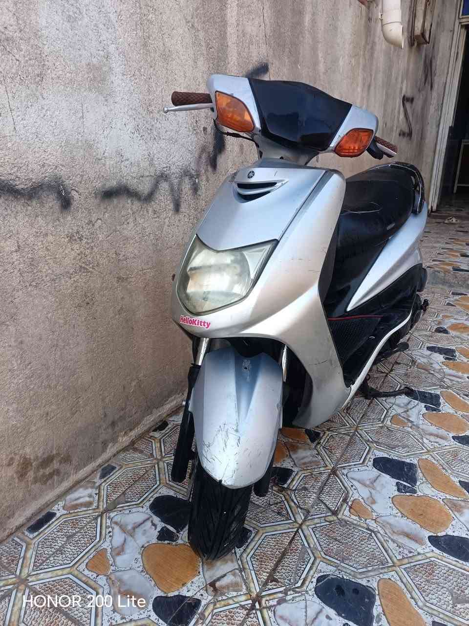 سكنس جبالي • نضيفه • اوراق كامله