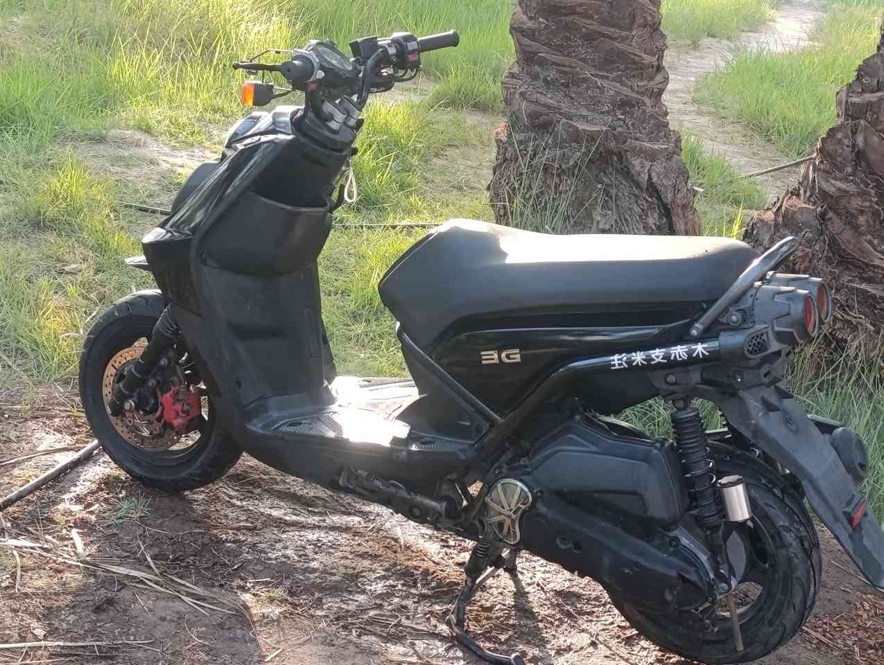 سكنس جبلي للبيع سوق شيوخ فضليه مكفوله كله بلاد كفرات مغلفه اسود سعرها 1150 ومجال قليل 
***********
