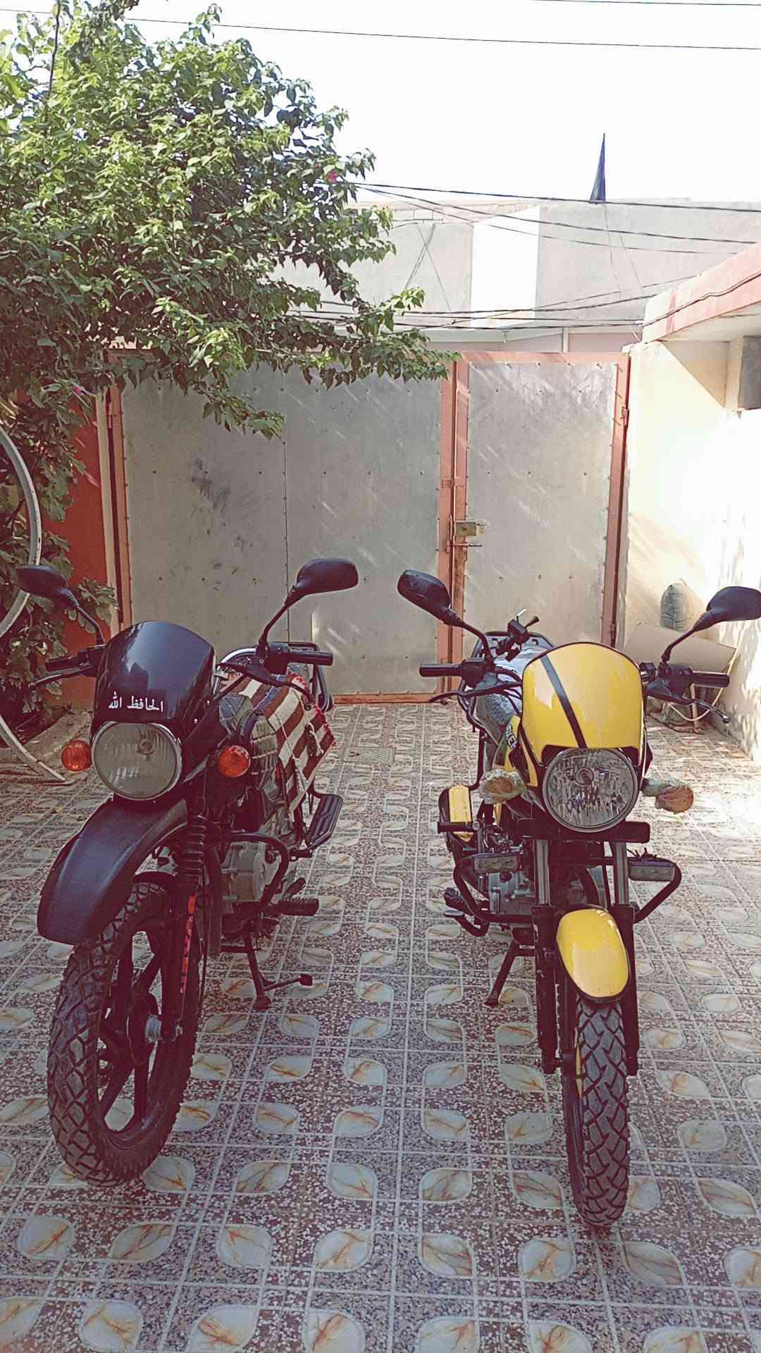بوكسر • ٢٠٢٢ • مكفول