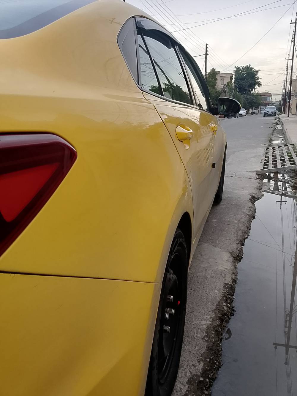 ريو ٢٠١٨ • رقم نينوى • توماتيك