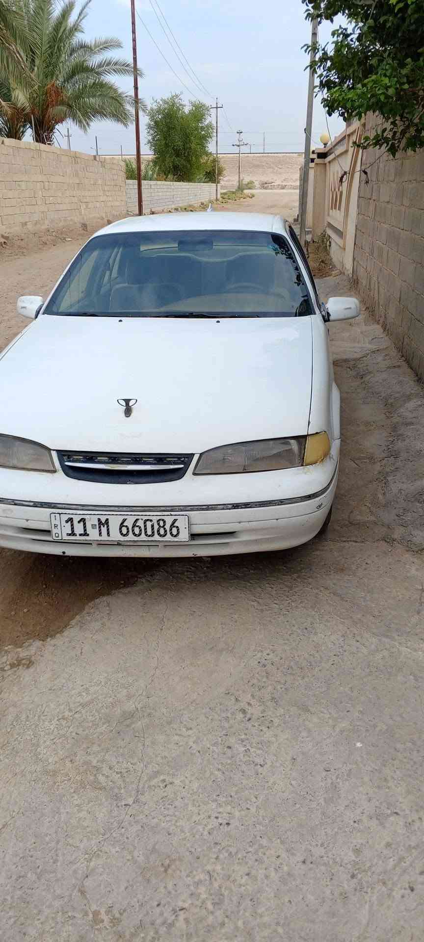 برنس فراشة • ٩٦ • رقم بغداد