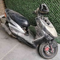 سكنس فحل • طافية • نواقص