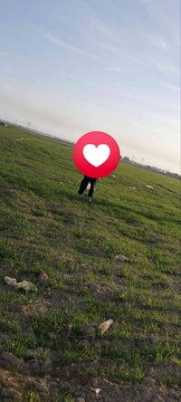 1850 متر  سند 35 مستعجله على بيعته الكرغوليه الشارع المجاور  معرض دبي ...