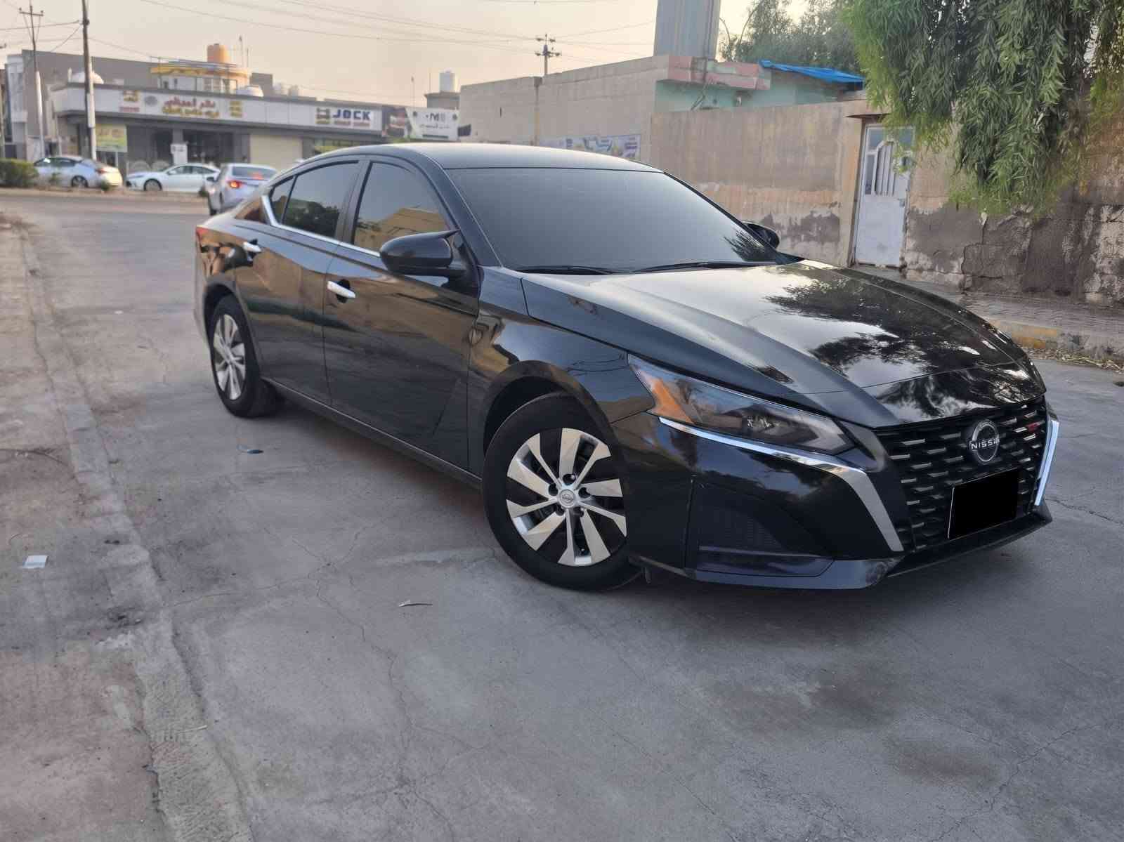 التيما • ٢٠٢٤ • رقم اربيل