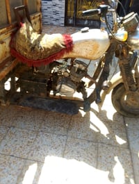 ستوته • للبيع • سنويه ضايعه
