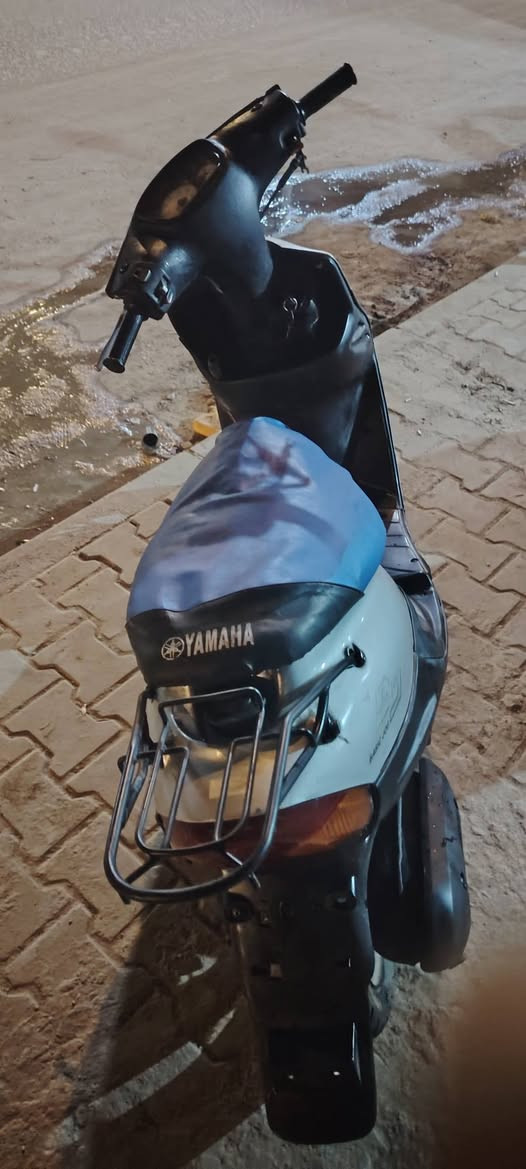 هندر • سلف • دبلات