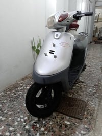بطة • ٢٠٠٣ • نضيفة