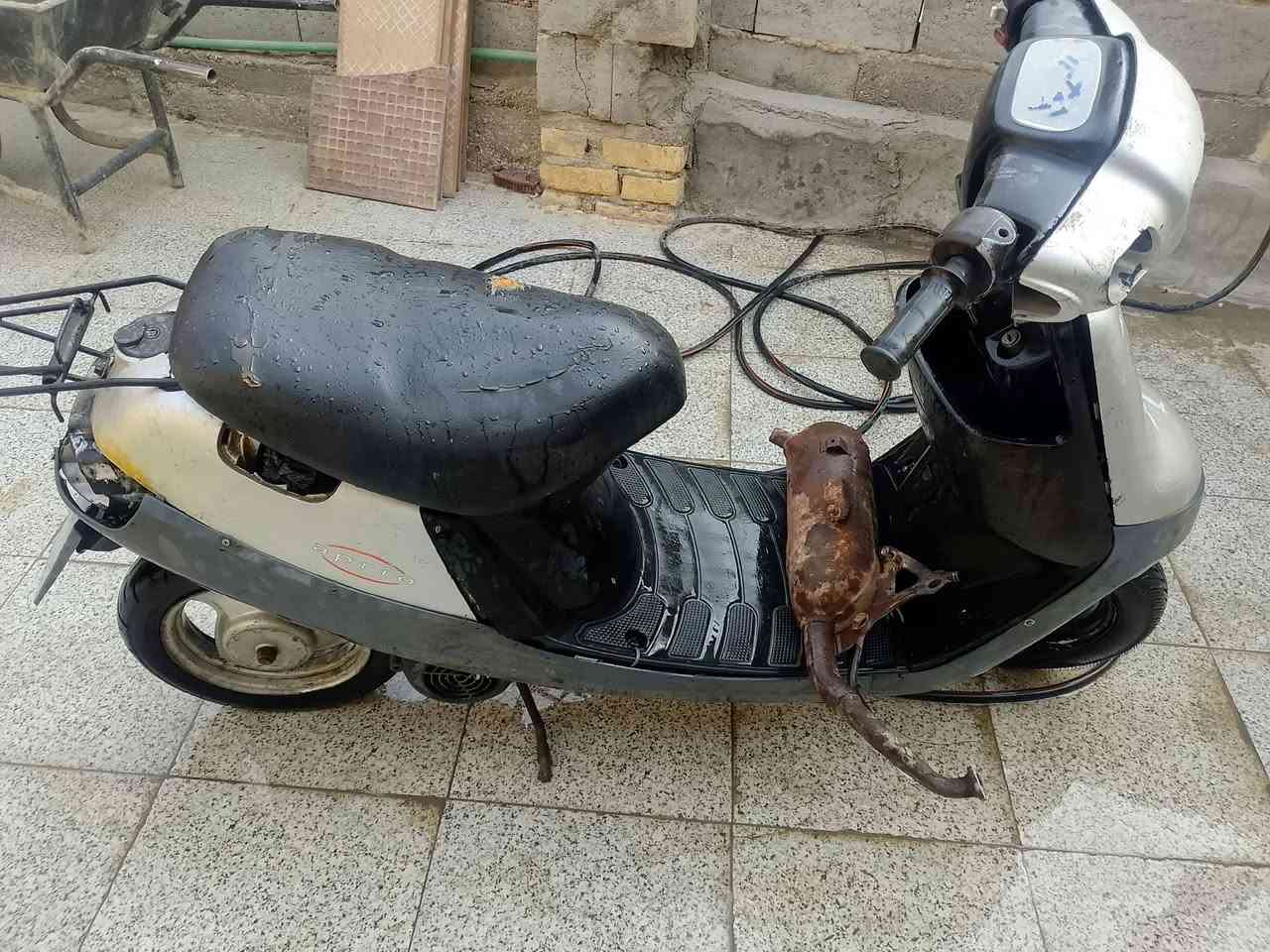 بطه • عاطلة • للبيع