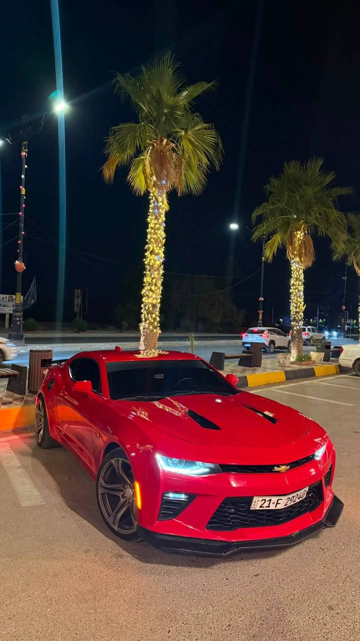 بيع او مراوس
شراي اتصل ***********
