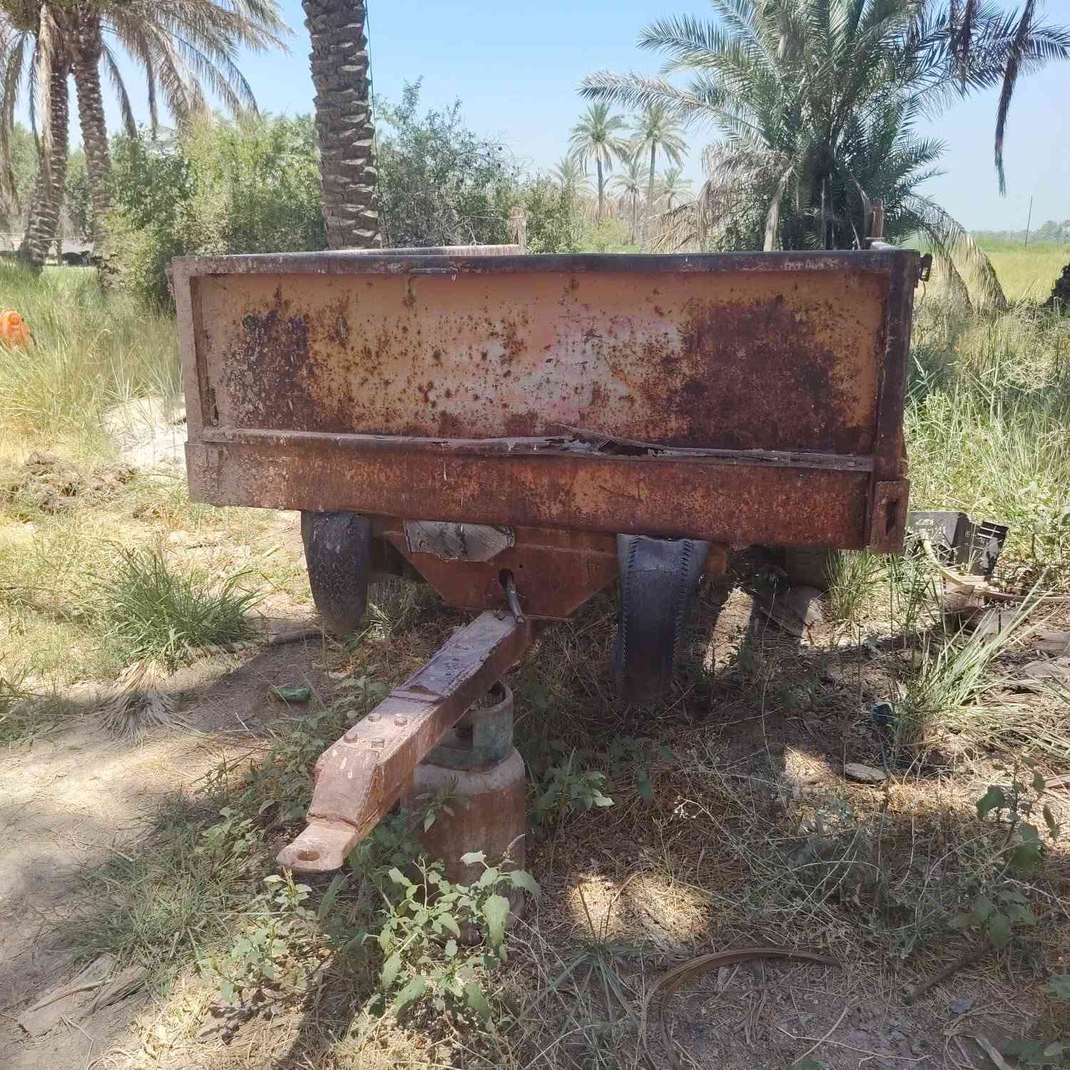 للبيع مكان حله سده الهندية المهناوية الاتصال واتساب ***********
