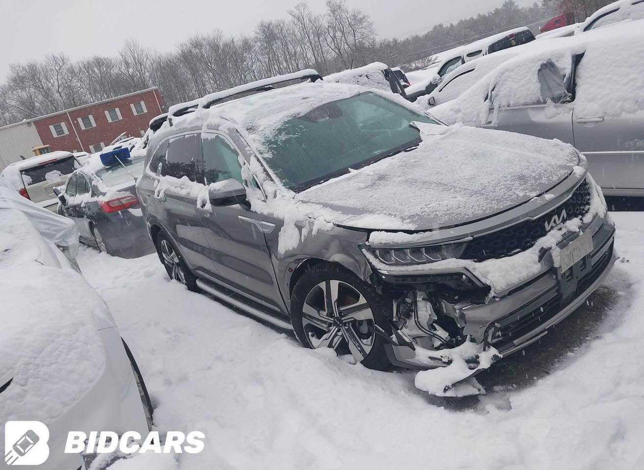 � للبيع كيا سورينتو 2023 EX AWD هايبرد

المواصفات:

* موديل: 2023
* الفئة: KIA Sorento EX
* المحرك: 1.6L Turbo Hybrid
* 4 سلندر
* القوة: 227 حصان
* دفع رباعي AWD
* ناقل حركة أوتوماتيك
* الممشى: 55,000 كم
* وارد أمريكي 🇺🇸

✨ التجهيزات:

📷 كاميرا خلفية • 📦 صندوق كهربائي • 🅿️ حساسات وقوف • 🔥 تدفئة المقاعد • 🔑 بصمة ومفتاح ذكي • 💺 مقاعد كهربائية • 💺 صف ثالث • 🚗 مثبت سرعة • 🌧️ حساس مطر • 📺 شاشة • 👁️ مراقبة النقطة العمياء • 🌡️ تكييف أوتوماتيك • 💡 LED • 📱 Apple CarPlay • 📲 تشغيل عن بُعد • 📡 رادار • 🔋 شاحن لاسلكي • 🌫️ كشافات ضباب • 🅿️ فرامل إلكترونية • ⚙️ أوضاع قيادة • 🛣️ تحذير مغادرة المسار • 🔊 نظام صوت Bose • 🛡️ تحكم إلكتروني بالثبات • ⚡ توجيه كهربائي • 🛞 حساسات ضغط الإطارات • 🎙️ تحكم صوتي

💰 السعر: 26,000$

📍 المكان: بغداد
📞 للاستفسار: *********** بغداد, العراق
