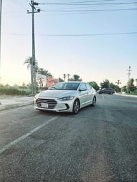 النتره • ٢٠١٧ • مسيب